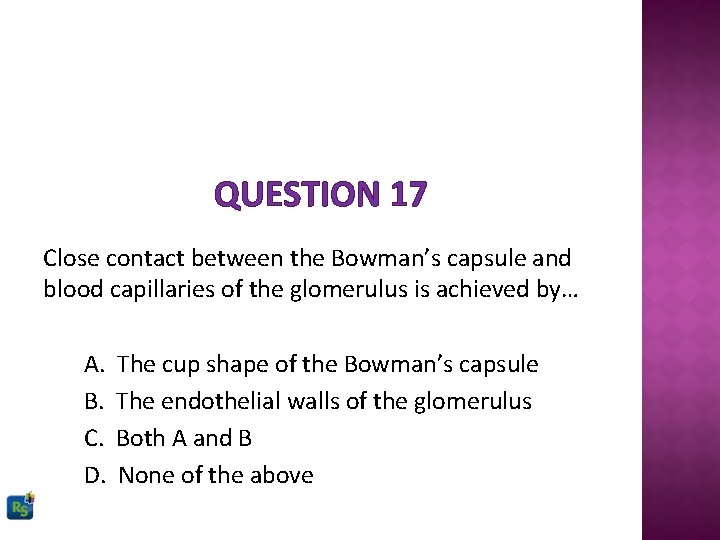 QUESTION 17 Close contact between the Bowman’s capsule and blood capillaries of the glomerulus