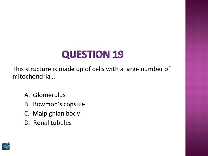 QUESTION 19 This structure is made up of cells with a large number of