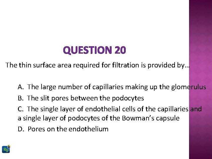 QUESTION 20 The thin surface area required for filtration is provided by… A. The