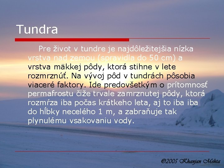 Tundra Pre život v tundre je najdôležitejšia nízka vrstva nad zemou (spravidla do 50