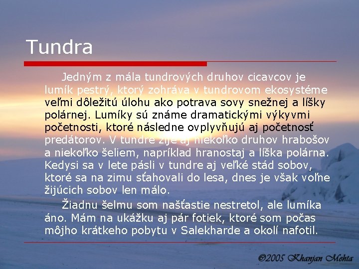 Tundra Jedným z mála tundrových druhov cicavcov je lumík pestrý, ktorý zohráva v tundrovom