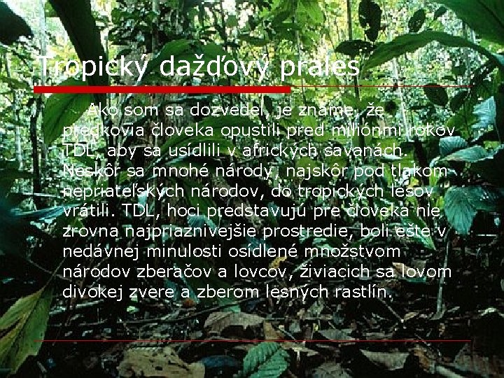 Tropický dažďový prales Ako som sa dozvedel, je známe, že predkovia človeka opustili pred