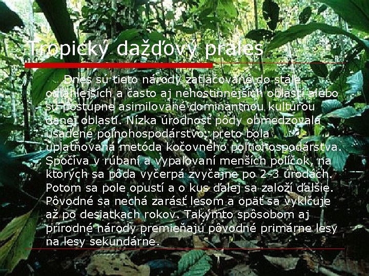 Tropický dažďový prales Dnes sú tieto národy zatlačované do stále odľahlejších a často aj