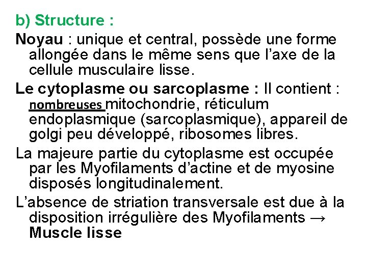 b) Structure : Noyau : unique et central, possède une forme allongée dans le