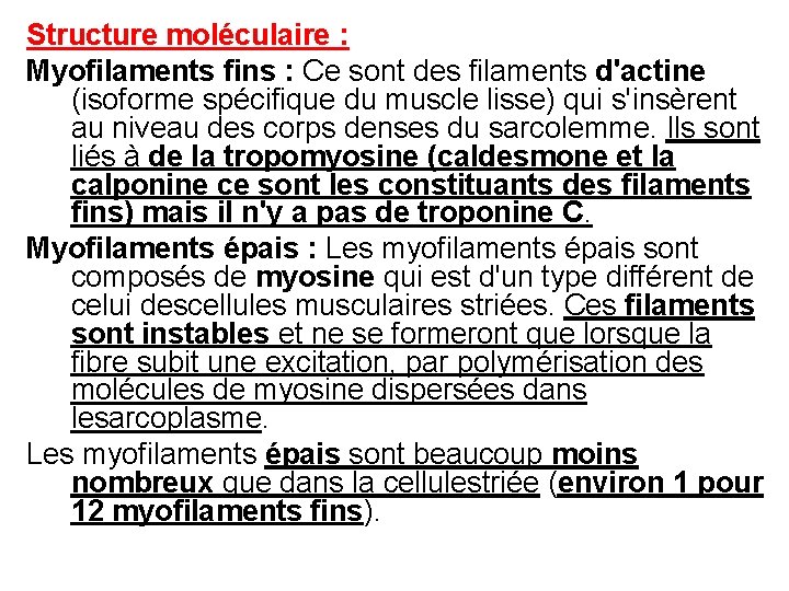 Structure moléculaire : Myofilaments fins : Ce sont des filaments d'actine (isoforme spécifique du
