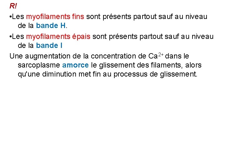 R! • Les myofilaments fins sont présents partout sauf au niveau de la bande