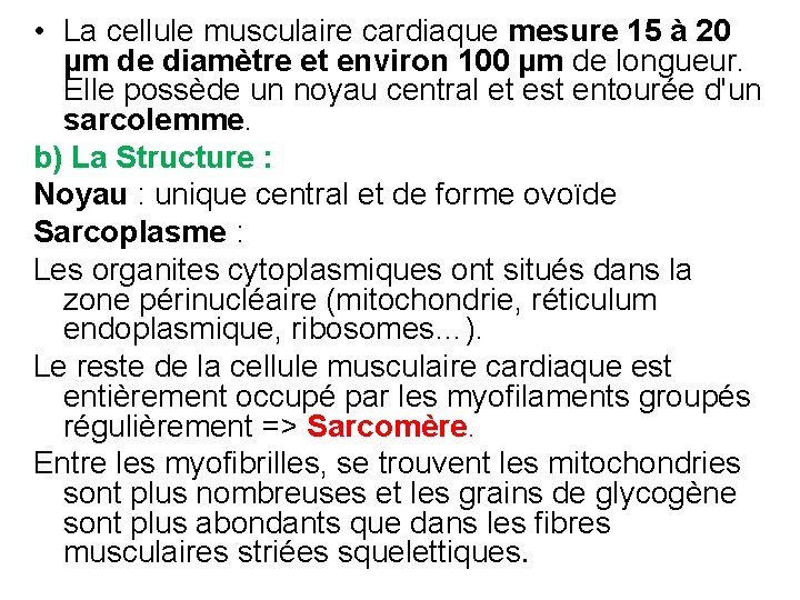  • La cellule musculaire cardiaque mesure 15 à 20 µm de diamètre et