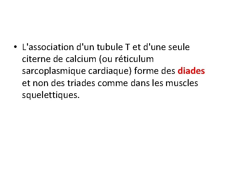  • L'association d'un tubule T et d'une seule citerne de calcium (ou réticulum