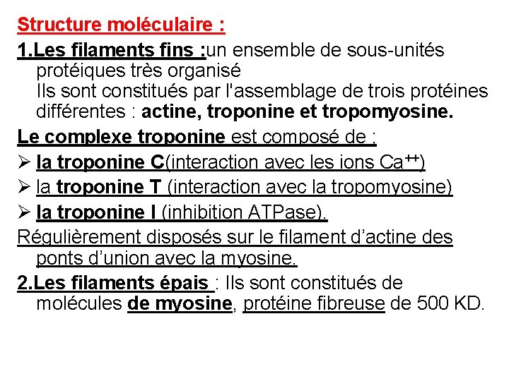 Structure moléculaire : 1. Les filaments fins : un ensemble de sous-unités protéiques très