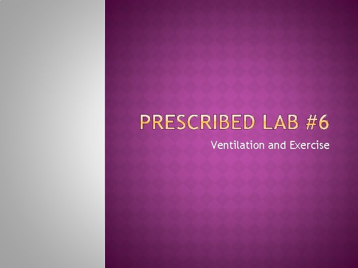 Ventilation and Exercise 