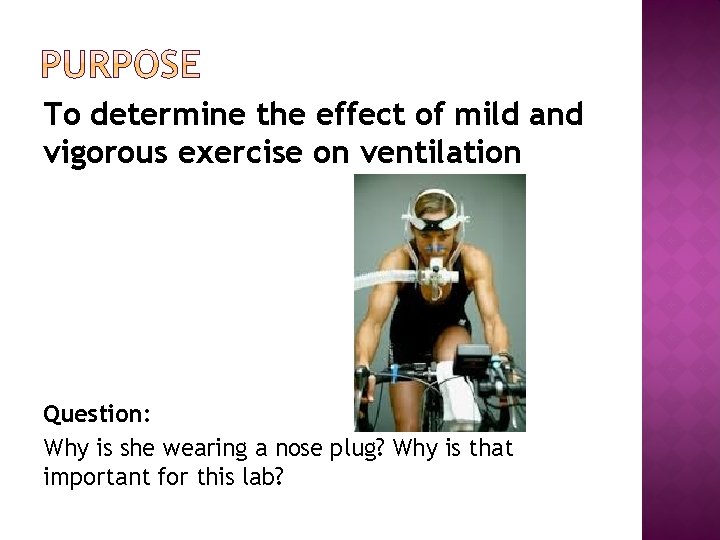 To determine the effect of mild and vigorous exercise on ventilation Question: Why is