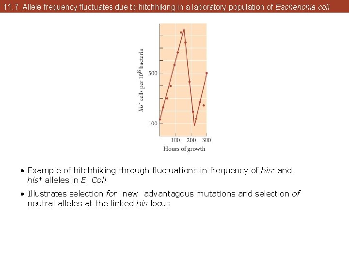 11. 7 Allele frequency fluctuates due to hitchhiking in a laboratory population of Escherichia