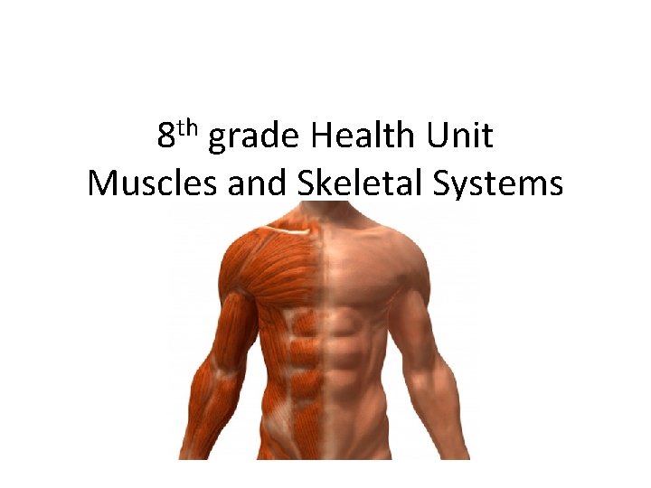 8 th grade Health Unit Muscles and Skeletal Systems 