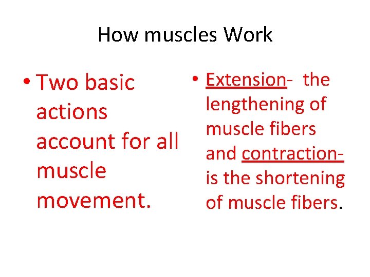 How muscles Work • Extension- the • Two basic lengthening of actions muscle fibers
