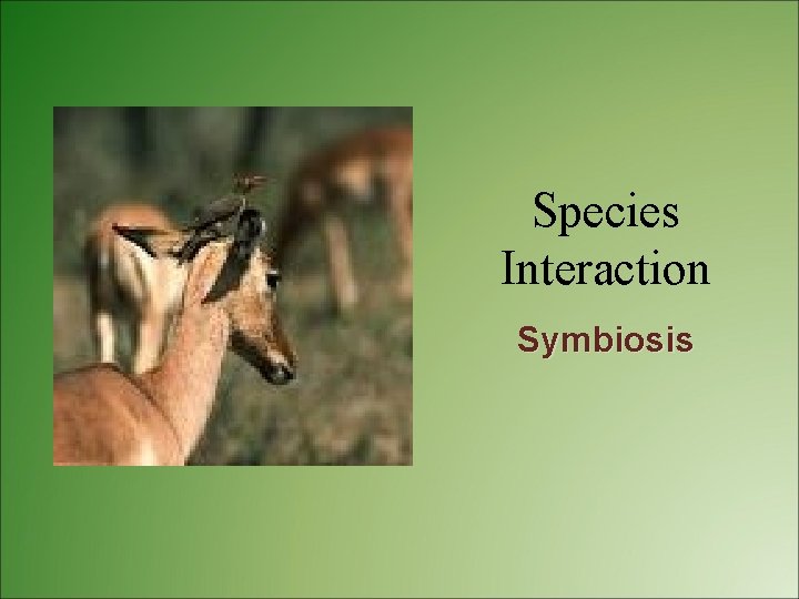 Species Interaction Symbiosis 