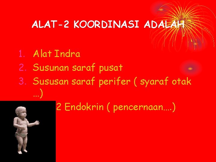 ALAT-2 KOORDINASI ADALAH 1. Alat Indra 2. Susunan saraf pusat 3. Sususan saraf perifer