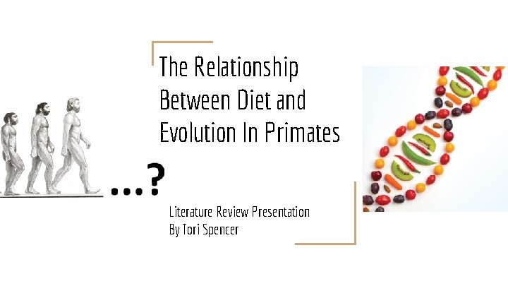 The Relationship Between Diet and Evolution In Primates Literature Review Presentation By Tori Spencer