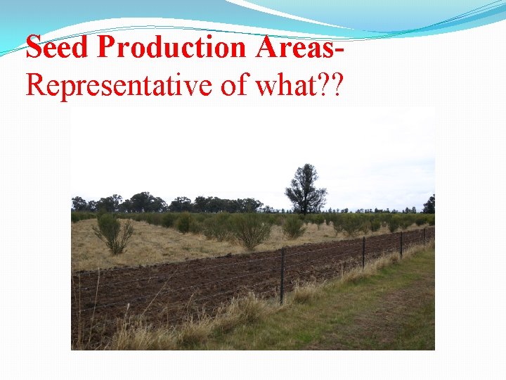 Seed Production Areas. Representative of what? ? 