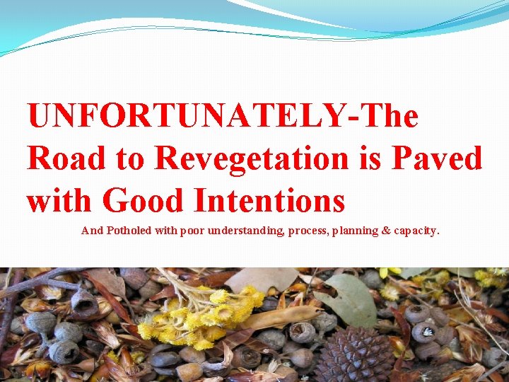 UNFORTUNATELY-The Road to Revegetation is Paved with Good Intentions And Potholed with poor understanding,