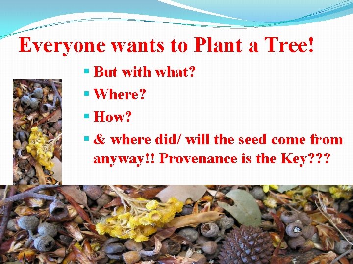 Everyone wants to Plant a Tree! § But with what? § Where? § How?