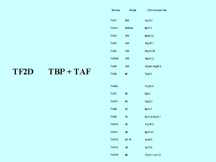 Nome TF 2 D TBP + TAF Alias Chromosoma TAF 1 250 Xq 13.