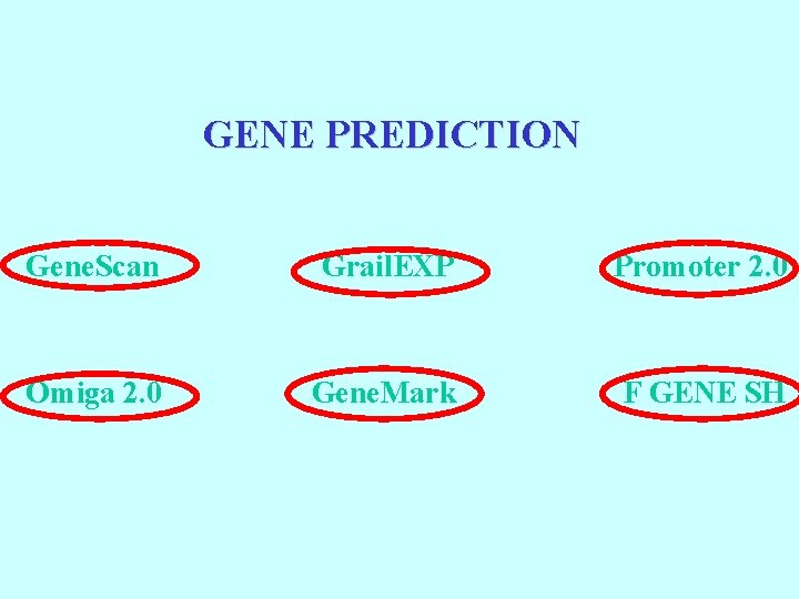 GENE PREDICTION Gene. Scan Grail. EXP Promoter 2. 0 Omiga 2. 0 Gene. Mark