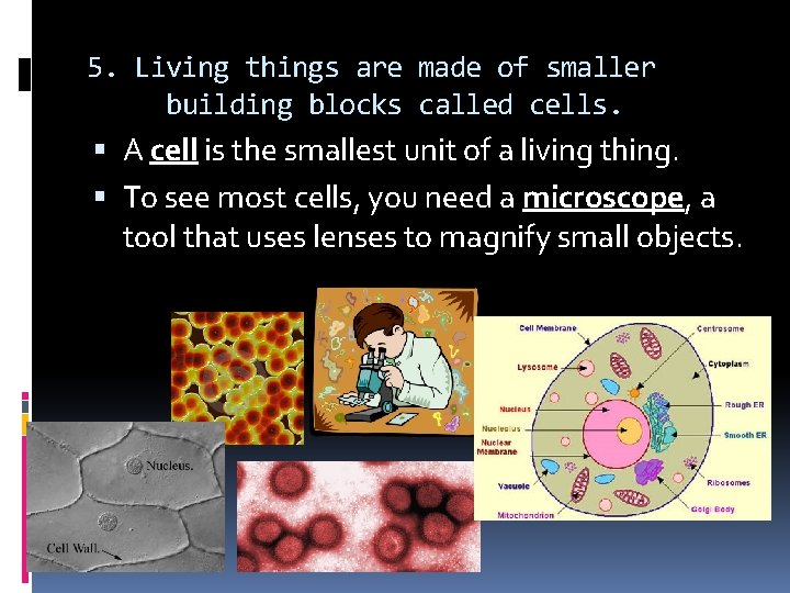 5. Living things are made of smaller building blocks called cells. A cell is