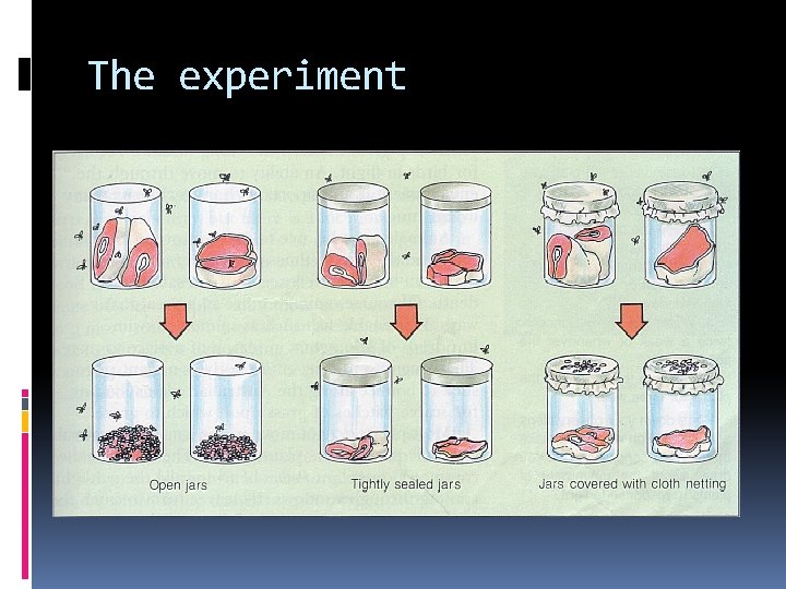 The experiment 