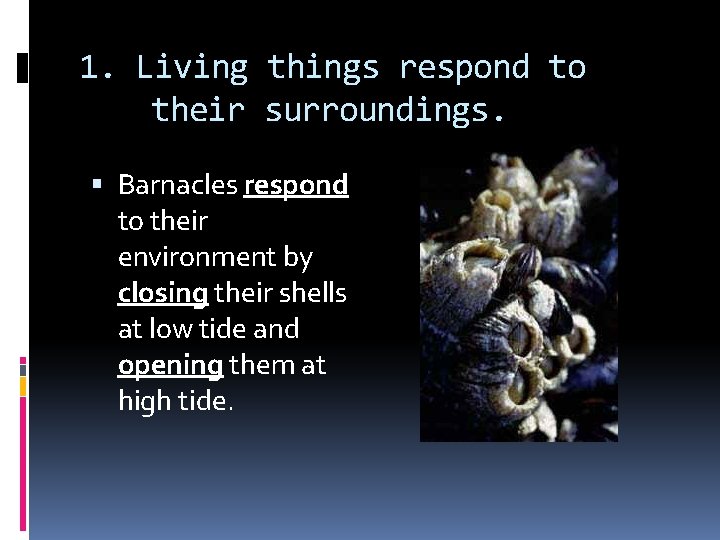 1. Living things respond to their surroundings. Barnacles respond to their environment by closing
