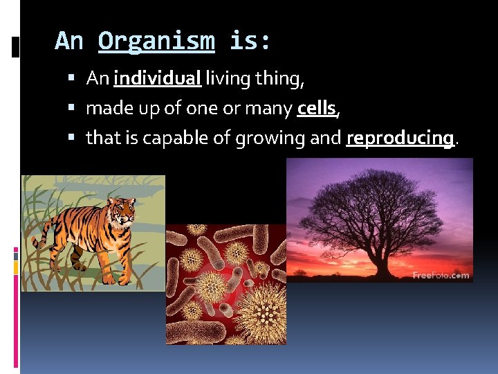 An Organism is: An individual living thing, made up of one or many cells,