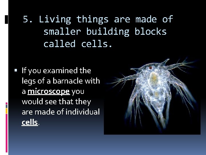 5. Living things are made of smaller building blocks called cells. If you examined