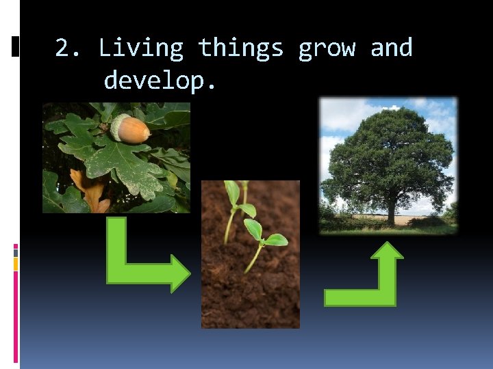 2. Living things grow and develop. 