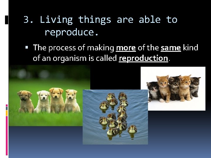 3. Living things are able to reproduce. The process of making more of the