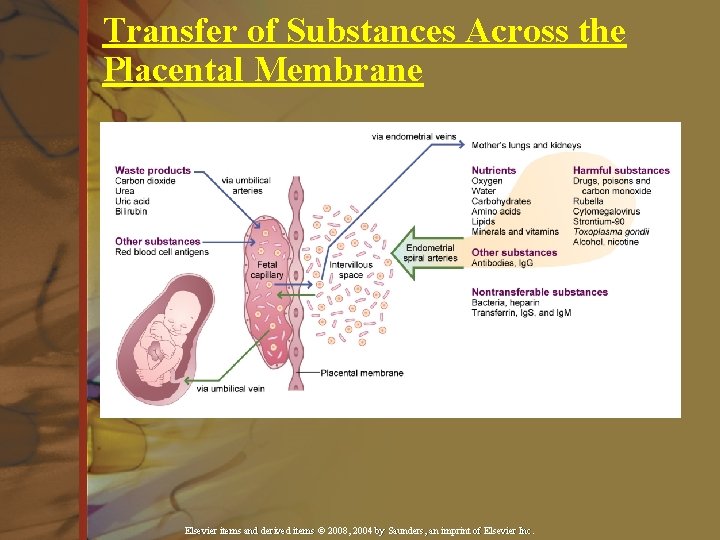 Transfer of Substances Across the Placental Membrane Elsevier items and derived items © 2008,