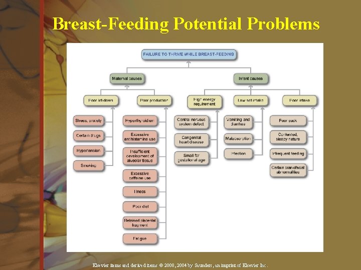 Breast-Feeding Potential Problems Elsevier items and derived items © 2008, 2004 by Saunders, an