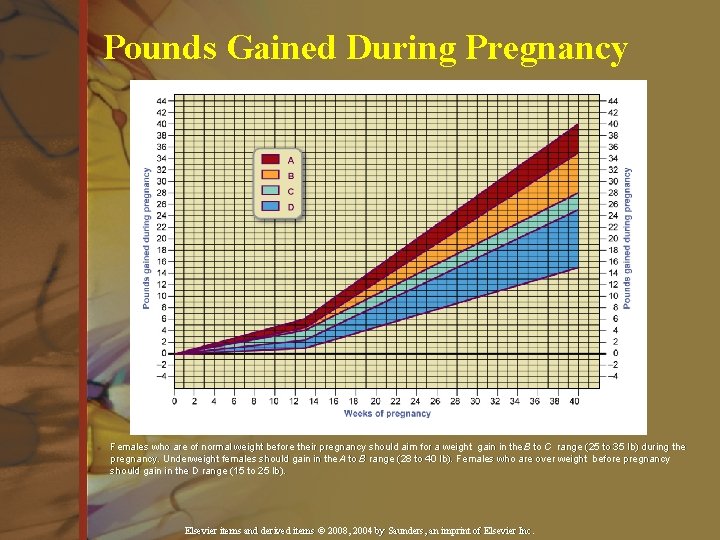 Pounds Gained During Pregnancy Females who are of normal weight before their pregnancy should