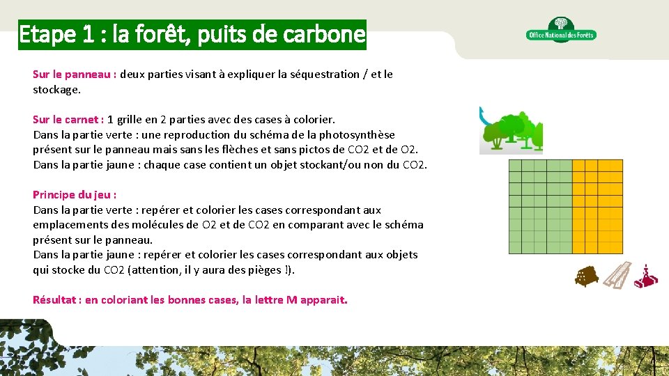 Etape 1 : la forêt, puits de carbone Sur le panneau : deux parties