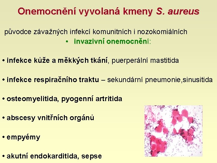 Onemocnění vyvolaná kmeny S. aureus původce závažných infekcí komunitních i nozokomiálních • invazivní onemocnění:
