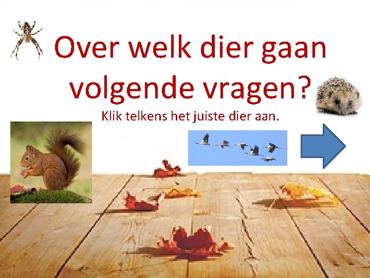 Over welk dier gaan volgende vragen? Klik telkens het juiste dier aan. 