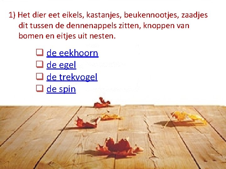 1) Het dier eet eikels, kastanjes, beukennootjes, zaadjes dit tussen de dennenappels zitten, knoppen