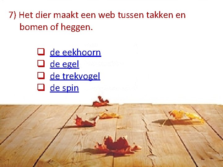 7) Het dier maakt een web tussen takken en bomen of heggen. q q