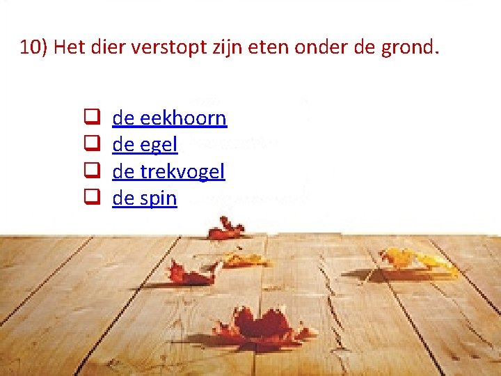 10) Het dier verstopt zijn eten onder de grond. q q de eekhoorn de