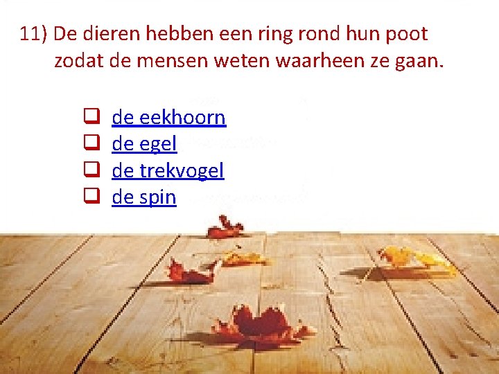 11) De dieren hebben een ring rond hun poot zodat de mensen weten waarheen