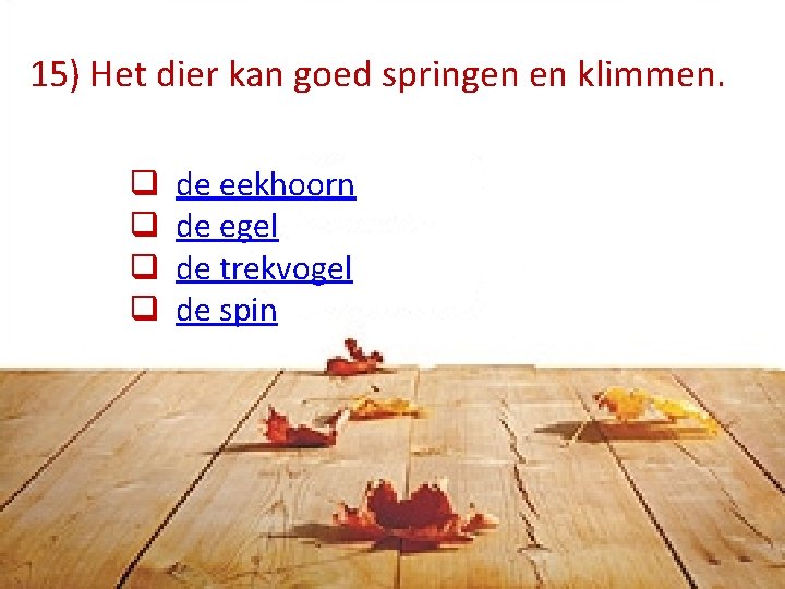 15) Het dier kan goed springen en klimmen. q q de eekhoorn de egel