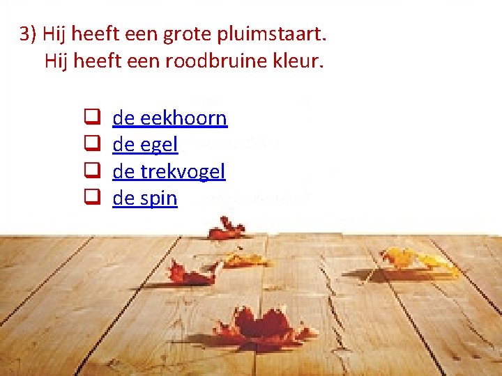 3) Hij heeft een grote pluimstaart. Hij heeft een roodbruine kleur. q q de