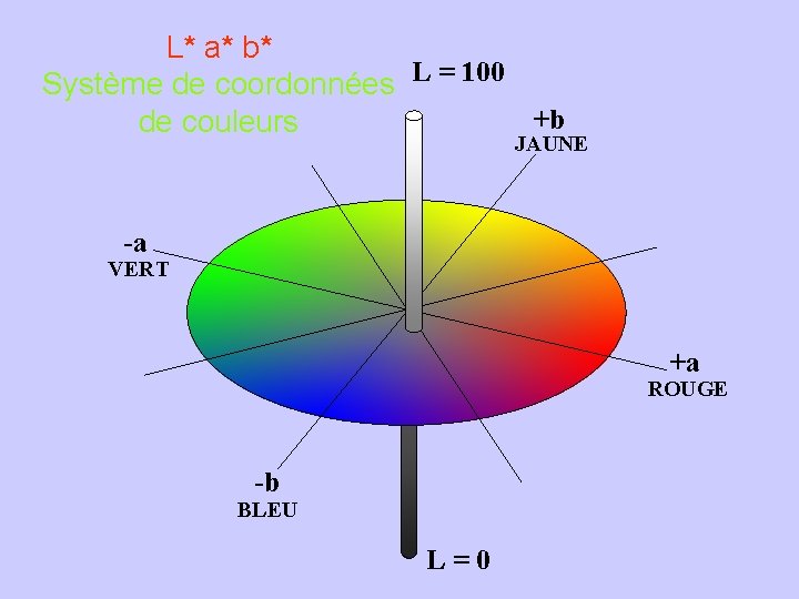 L* a* b* Système de coordonnées L = 100 +b de couleurs JAUNE -a