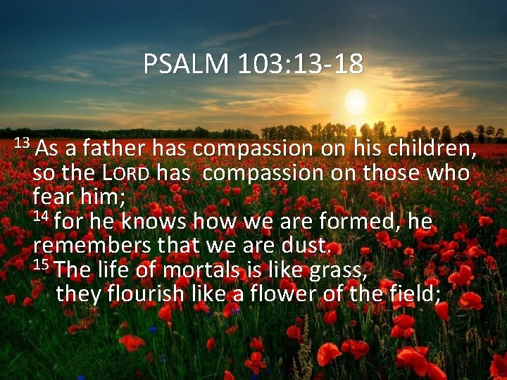 PSALM 103: 13 -18 13 As a father has compassion on his children, so