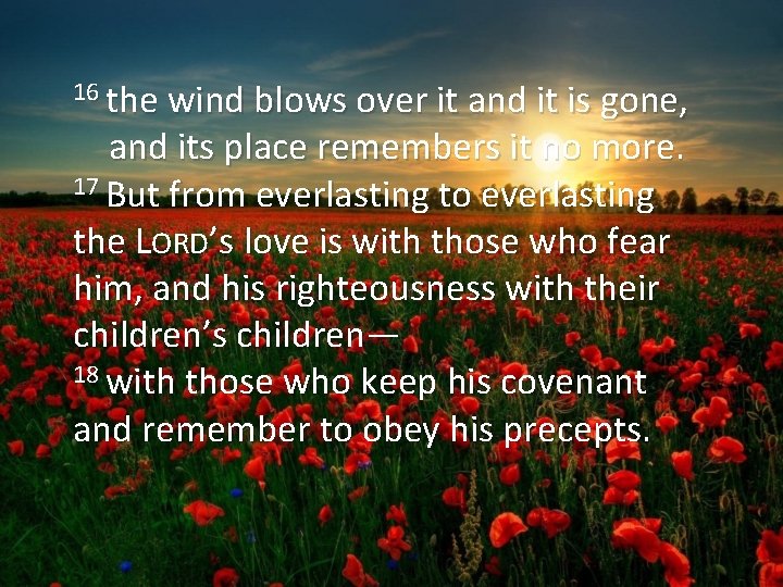 16 the wind blows over it and it is gone, and its place remembers