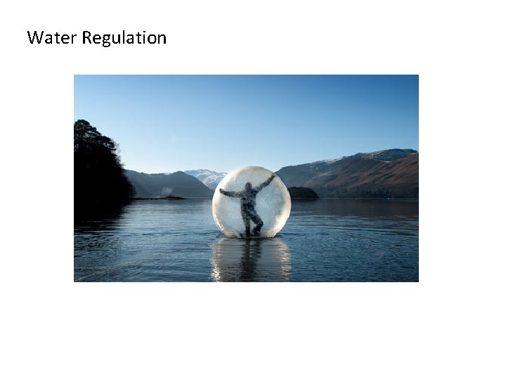 Water Regulation 