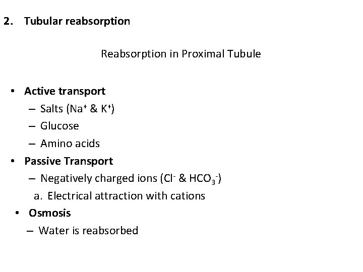 2. Tubular reabsorption Reabsorption in Proximal Tubule • Active transport – Salts (Na+ &